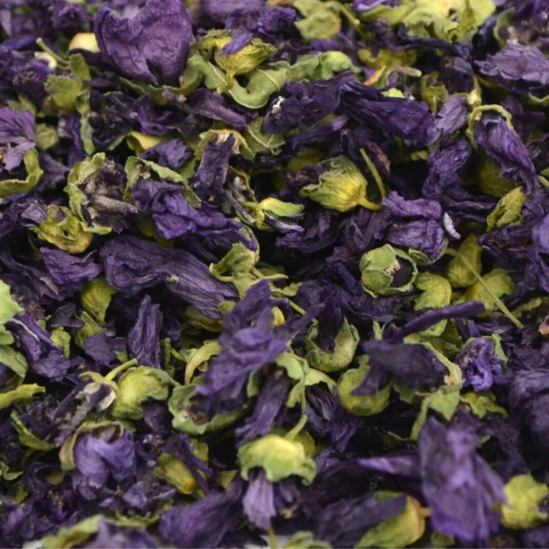 Dried Blue Pea Mallow Flower