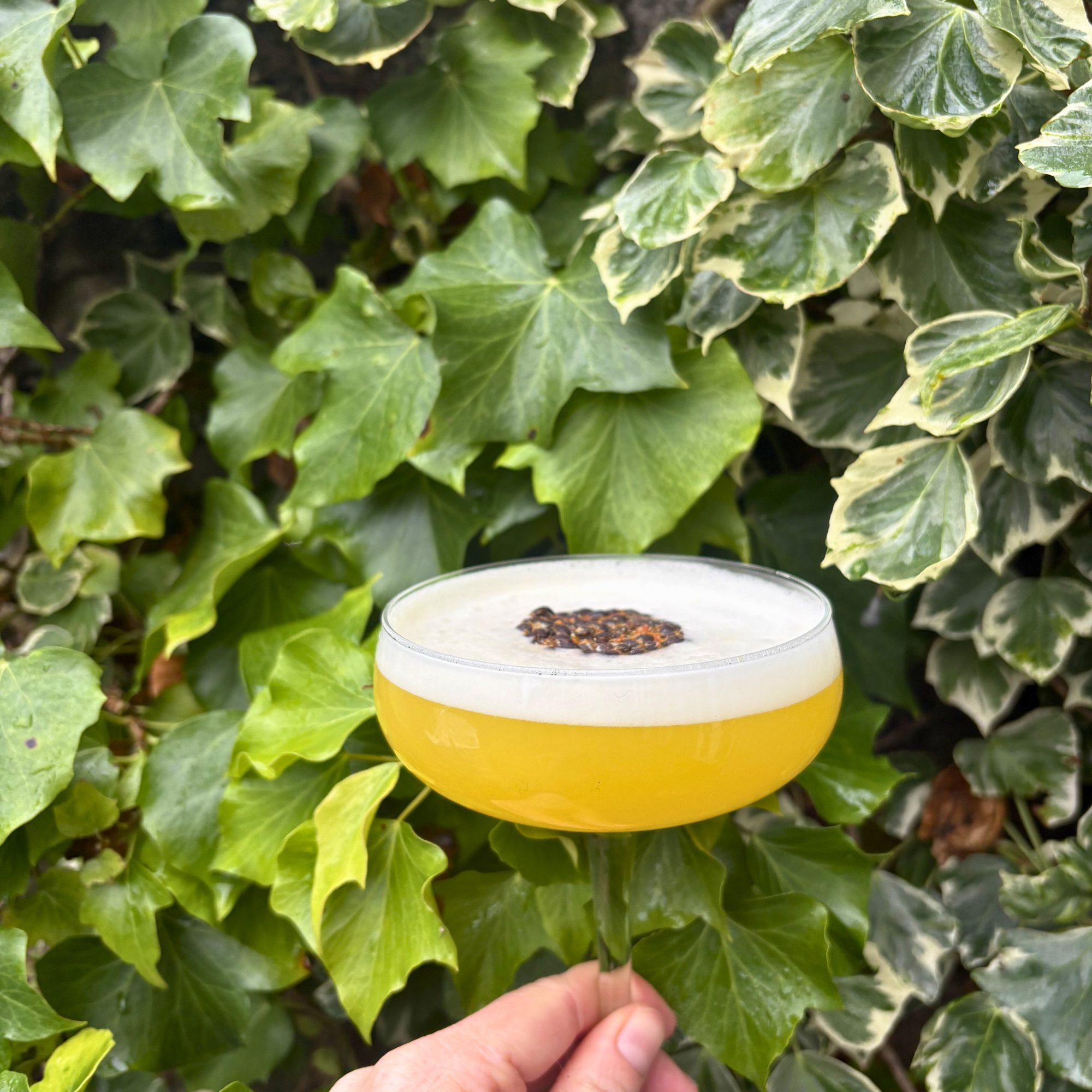 Dehydrated Dried Skinless Passion Fruit Slices