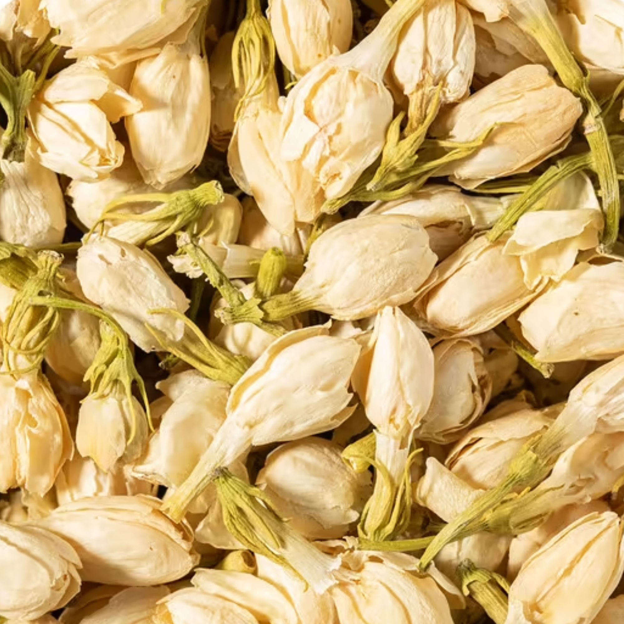 Dried Jasmine Buds