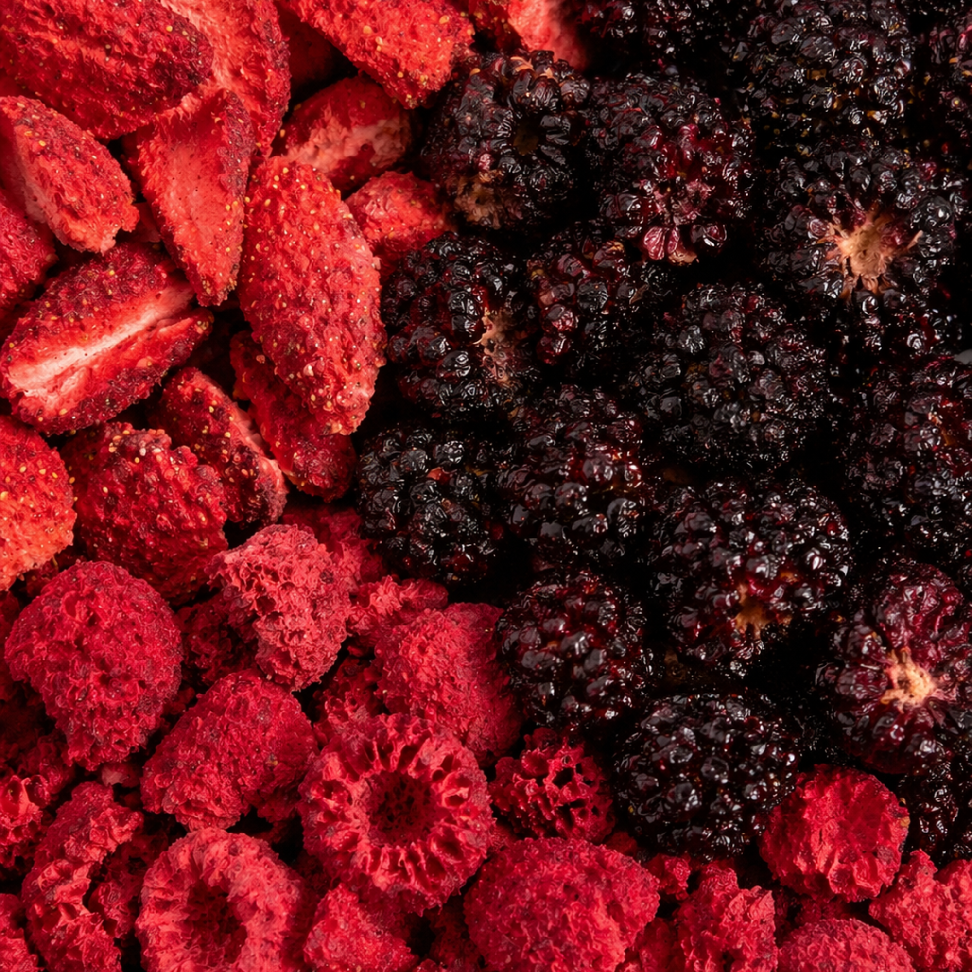 Freeze Dried Berry Mix