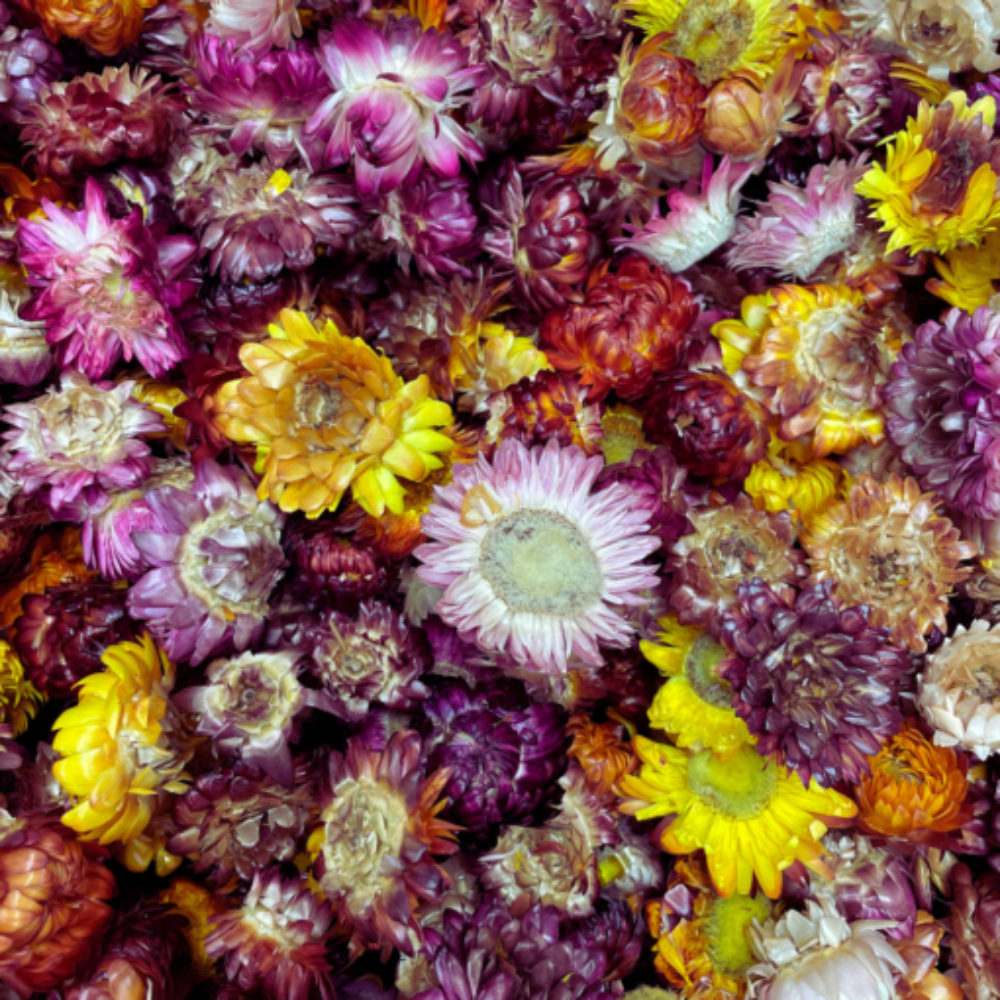 Dried Food-Grade Mixed Flowers