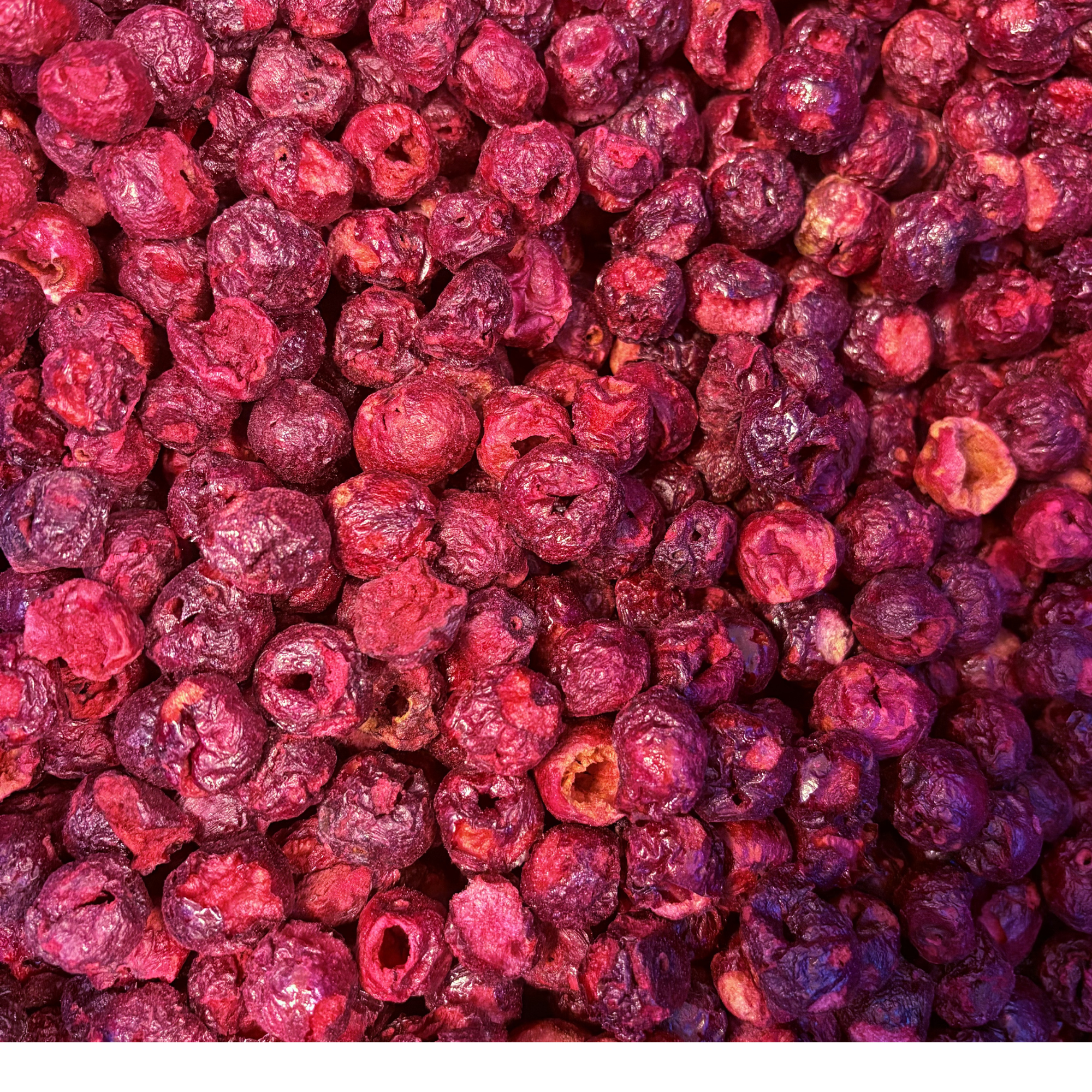 Freeze Dried Red Sour Cherries