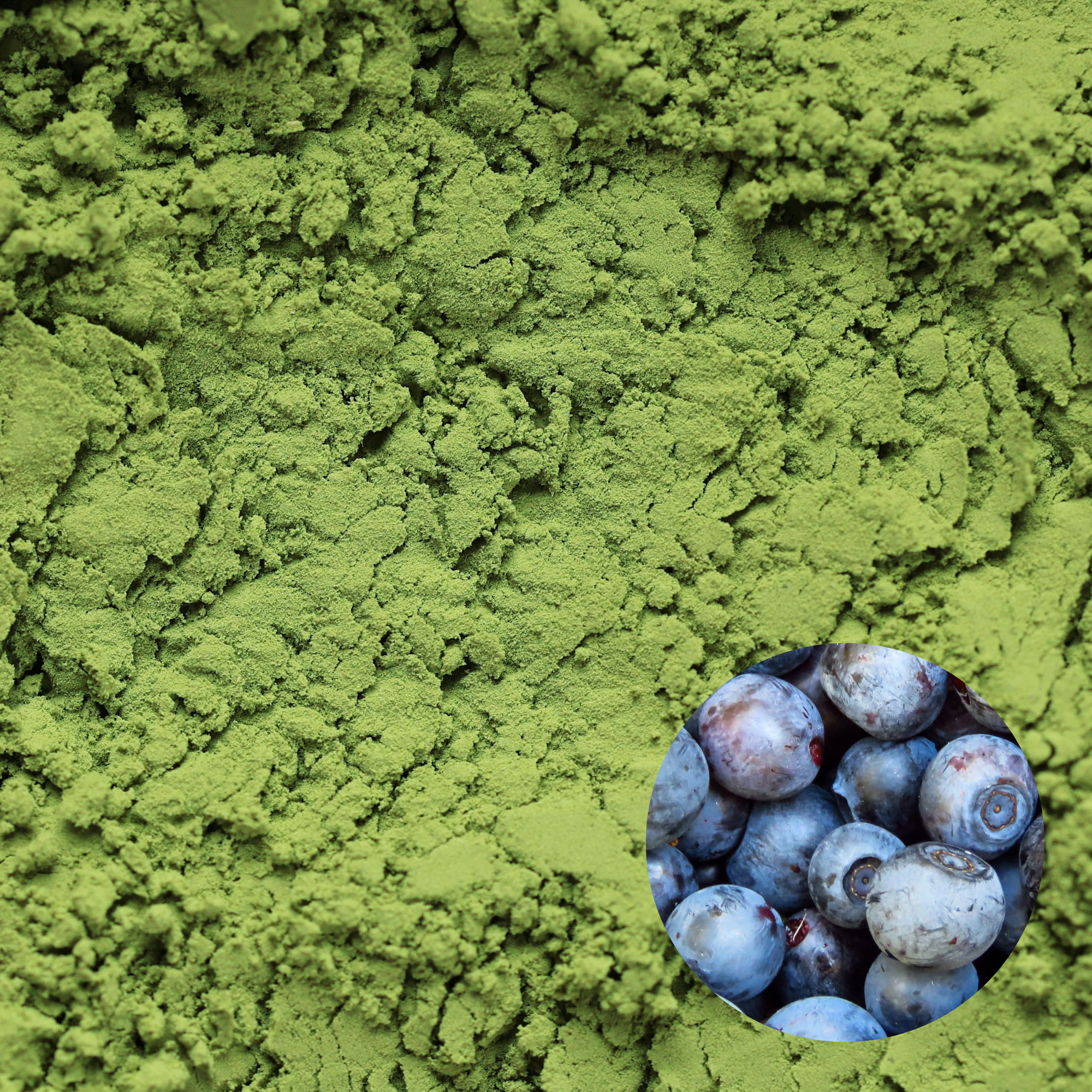 Ceremonial Grade Blueberry Matcha Powder