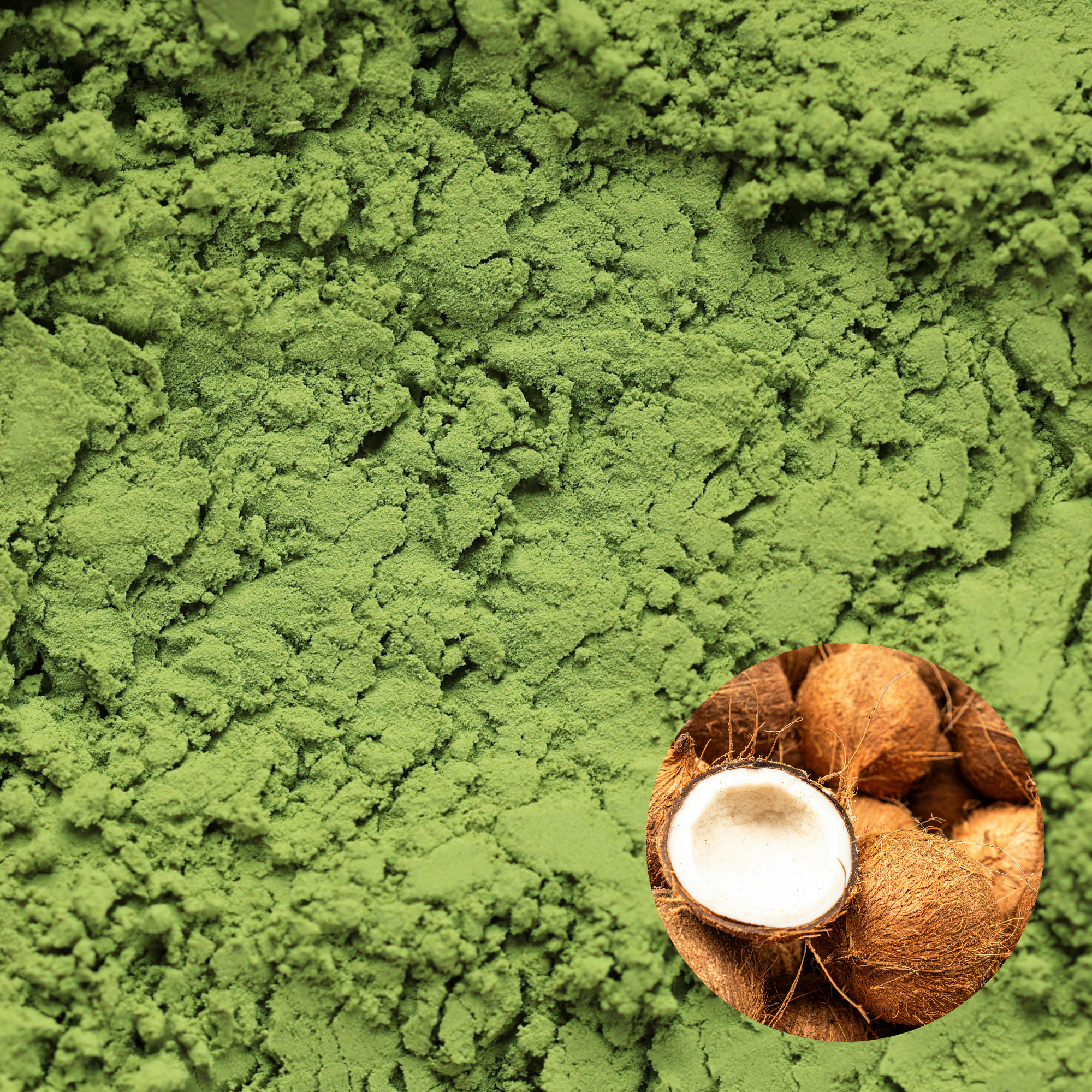Ceremonial Grade Coconut Matcha Powder