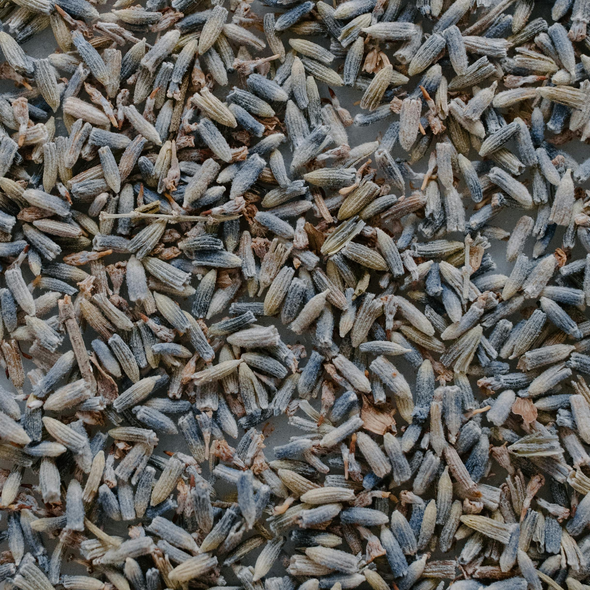Dried Lavender Flowers