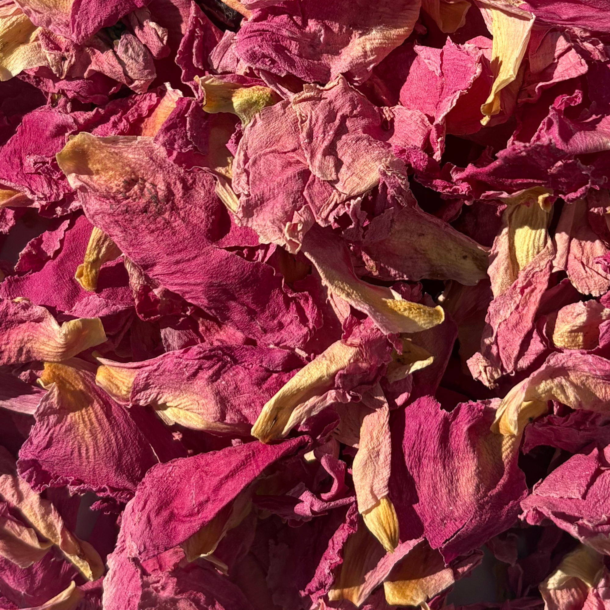 Dried Peony Petals