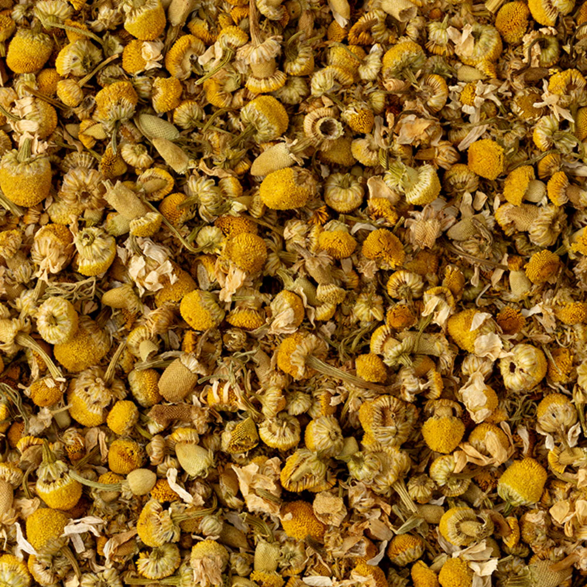 Camomile Loose Leaf Blend