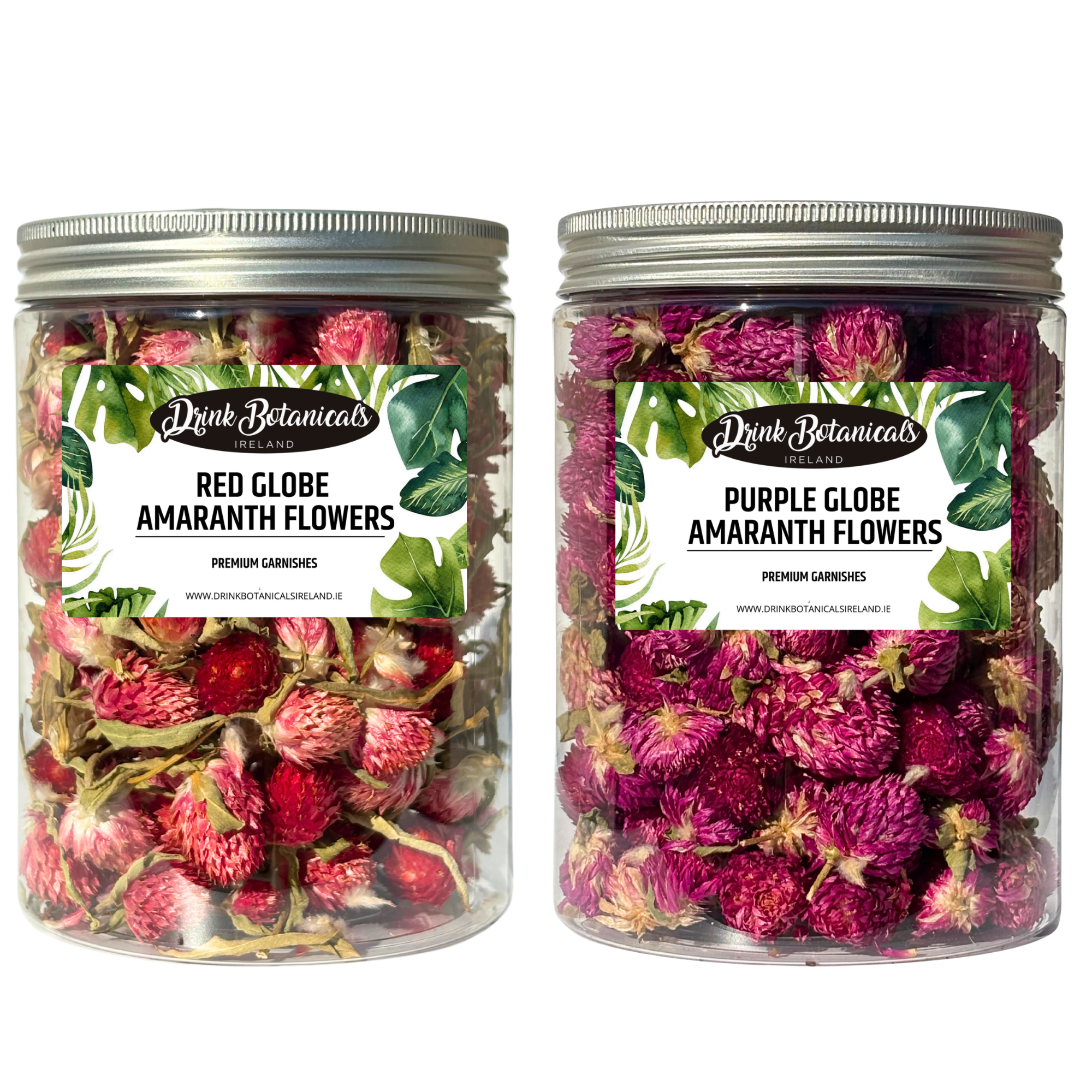 Amaranth Purple (55G)& Amaranth Red Globe (55G) Flowers Combo Pack