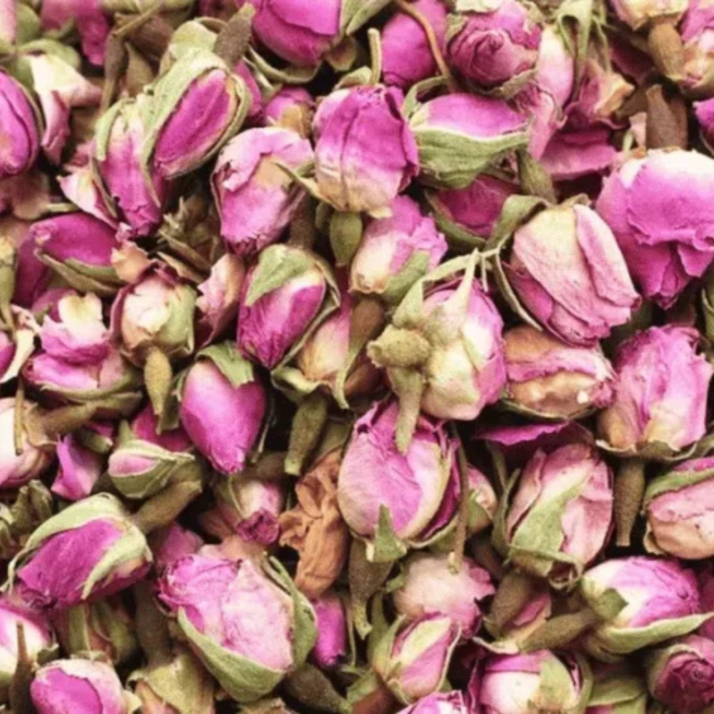 Dried Pink Rose Buds