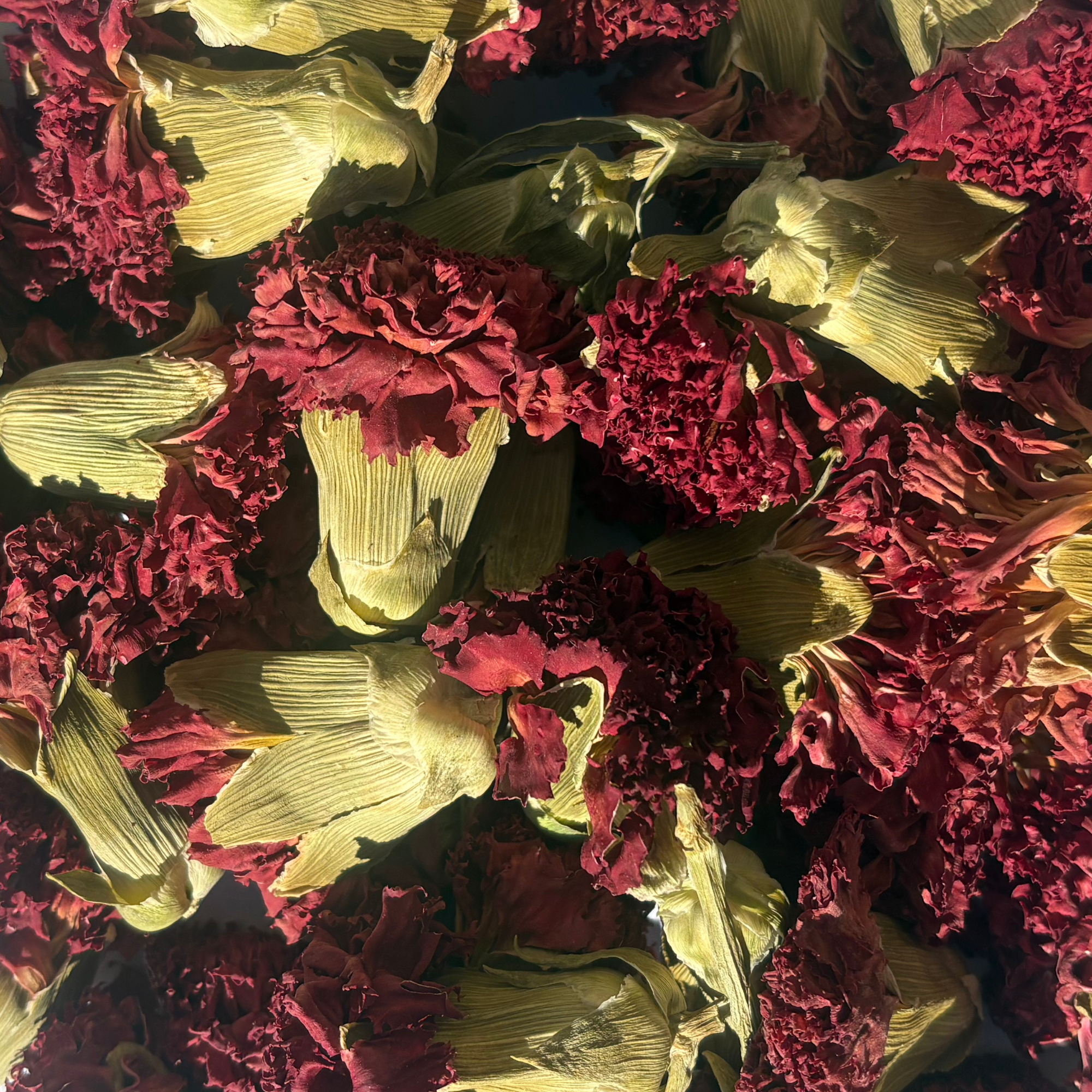Dried Red Blossom Flowers